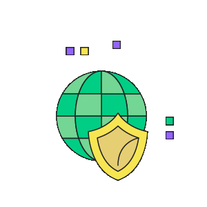 network connectivity